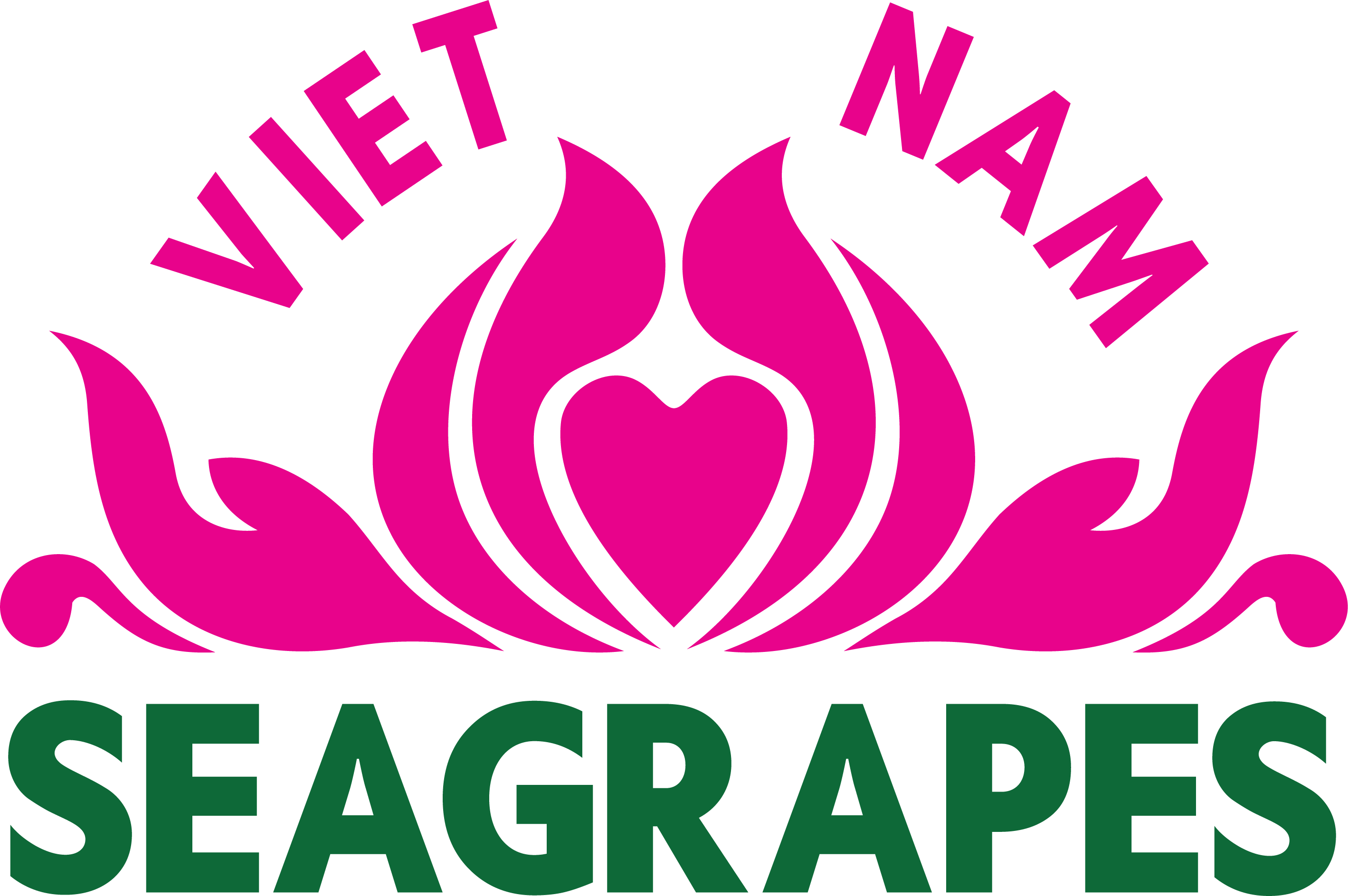 Rong Nho Trường Thọ của Công Ty TNHH Seagrapes Việt Nam